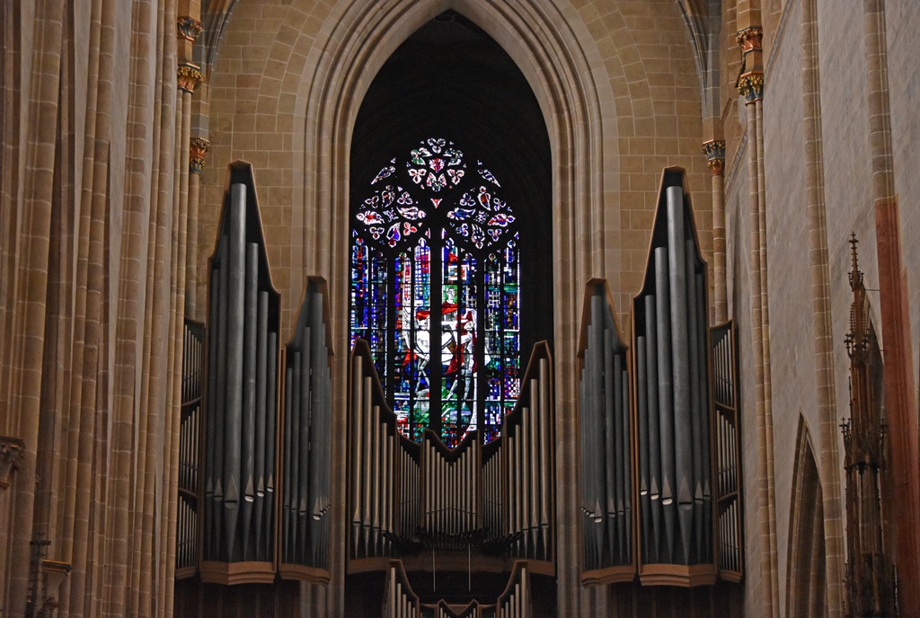 Organ (16th C.)